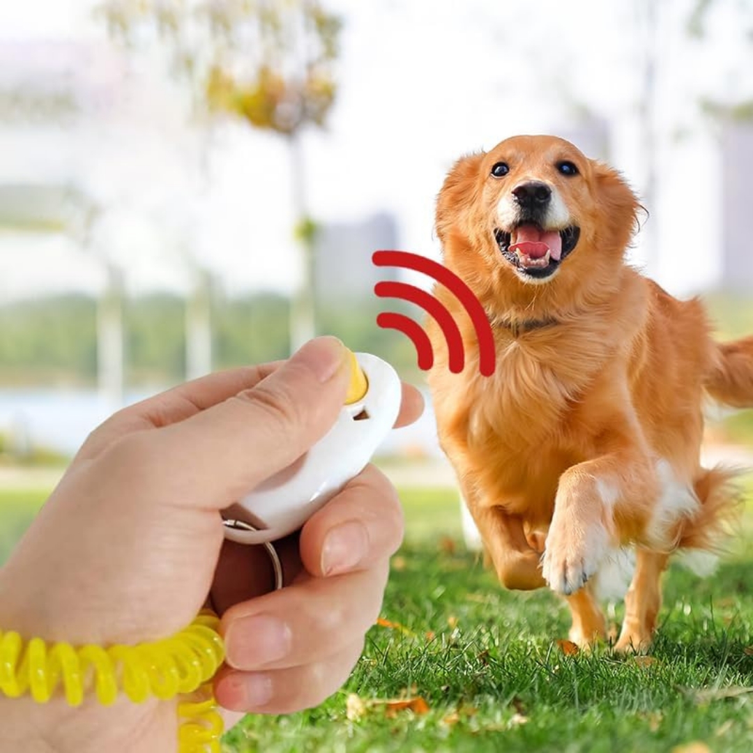 Köpek%20Eğitimi%20Için%20Clicker%20Köpeğinizi%20Kolayca%20Eğitin