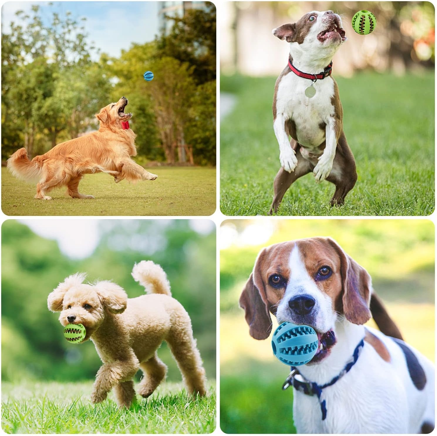 Mama%20Hazneli%20Köpek%20ve%20Kedi%20Eğitim%20Ve%20Oyun%20Topu%20Turuncu